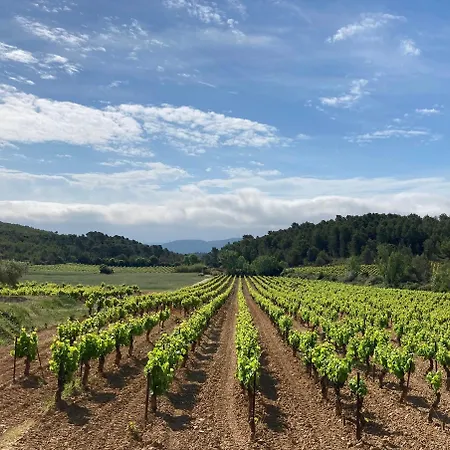 Holiday home Du Vigneron Avec Vue Sur Les Vignes Et Les Montagnes
